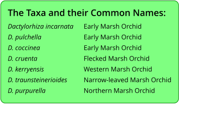 The Taxa and their Common Names: Dactylorhiza incarnata	Early Marsh Orchid D. pulchella			Early Marsh Orchid D. coccinea			Early Marsh Orchid D. cruenta			Flecked Marsh Orchid D. kerryensis			Western Marsh Orchid D. traunsteinerioides	Narrow-leaved Marsh Orchid D. purpurella			Northern Marsh Orchid