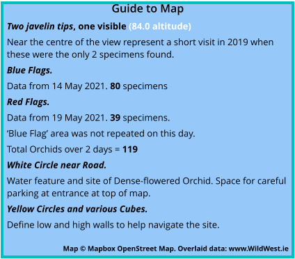 Guide to Map Two javelin tips, one visible (84.0 altitude) Near the centre of the view represent a short visit in 2019 when these were the only 2 specimens found. Blue Flags. Data from 14 May 2021. 80 specimens Red Flags. Data from 19 May 2021. 39 specimens.  ‘Blue Flag’ area was not repeated on this day. Total Orchids over 2 days = 119 White Circle near Road. Water feature and site of Dense-flowered Orchid. Space for careful parking at entrance at top of map. Yellow Circles and various Cubes. Define low and high walls to help navigate the site. Map © Mapbox OpenStreet Map. Overlaid data: www.WildWest.ie