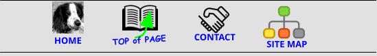 CONTACT HOME  TOP of PAGE SITE MAP